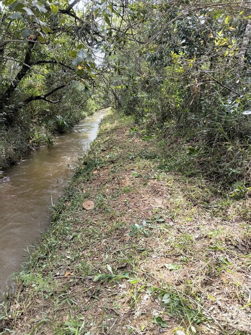 Canal